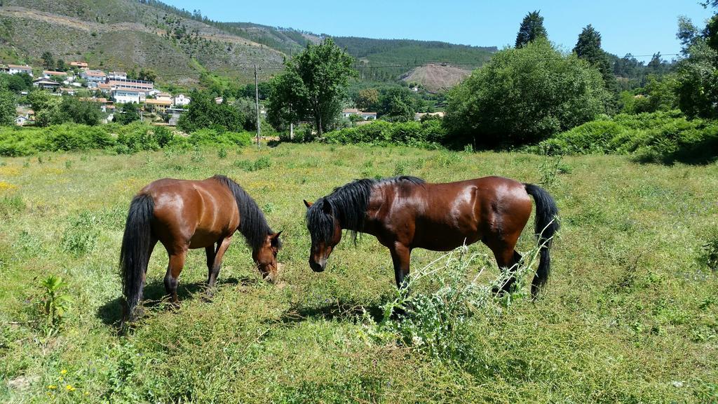 Casa De Baixo - Nature Hotel Alvoco das Várzeas Pokoj fotografie